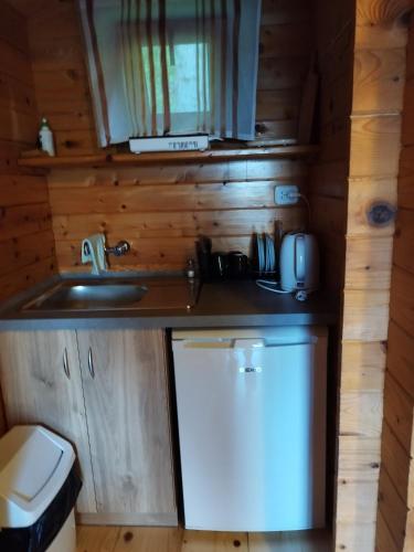 a small kitchen with a sink and a refrigerator at DG EWA w Polańczyku in Polańczyk