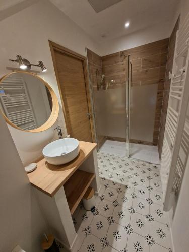 a bathroom with a sink and a shower with a mirror at Chalet du Mont Granier in Apremont