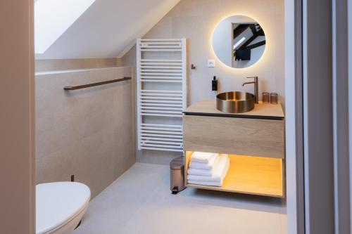 a bathroom with a sink and a toilet and a mirror at Maison Kounic Palace Suites in Slavkov u Brna