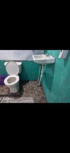 a bathroom with a toilet and a sink at Casa,del vozque in Manzanillo