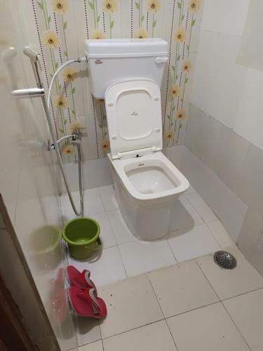 a bathroom with a toilet and a green bowl at Swami Inn Lodging in Trimbak