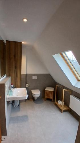 a bathroom with a sink toilet and a skylight at Waldhufenhaus in Schöna in Reinhardtsdorf