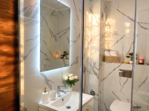 a bathroom with a sink and a shower at Emerald Apartment On Arena Oradea in Oradea