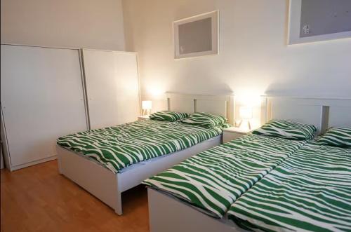 Cosy Central Bright Apartment