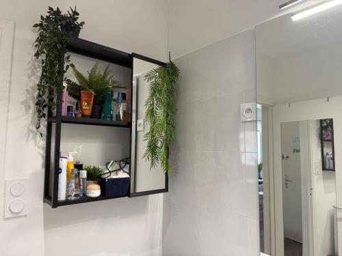 Large studio very close to La Croisette and beaches