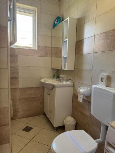 a bathroom with a white toilet and a sink at CONJAR in Saborsko