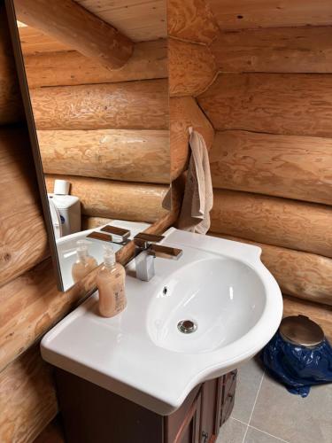 a bathroom with a sink and a mirror at Cabanele 2 Mitici in Săliştea de Sus
