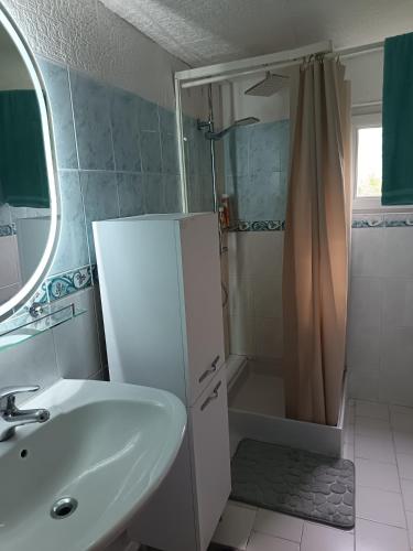 un bagno bianco con lavandino e doccia di NIOLU a Albertacce