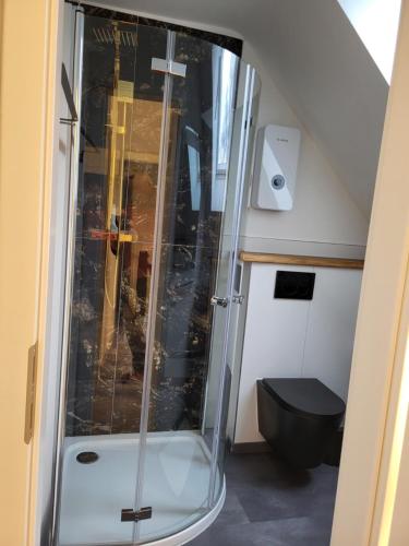 a shower with a glass door in a bathroom at Leichlingen 1 in Leichlingen