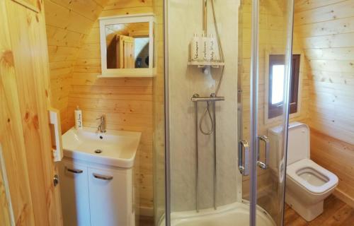 a bathroom with a shower and a toilet and a sink at Ocean View Glamping Pod in Borve