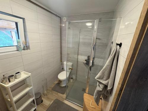 a bathroom with a glass shower and a toilet at Dom nad jeziorem Serwy in Serwy