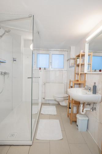 a bathroom with a shower and a sink and a toilet at Chalet zum See in Bregenz