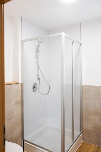 a shower with a glass enclosure in a bathroom at Alfredo Hotel in Eppingen