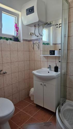 a bathroom with a sink and a toilet and a mirror at House Nena in Bibinje