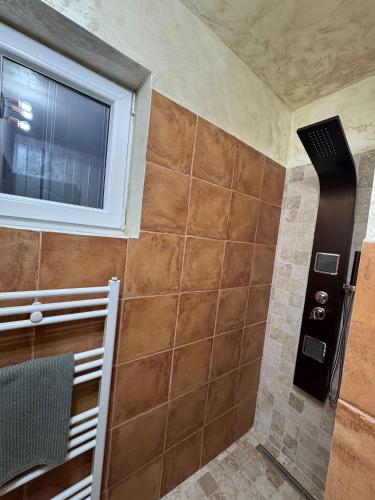 a bathroom with a shower with a window at KraftColibita in Colibiţa