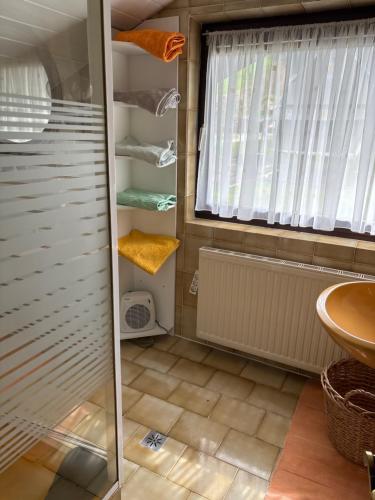 a bathroom with a walk in shower and a sink at Appartement Blickfang in Bruck an der Mur