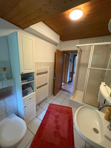 a bathroom with a toilet and a sink and a mirror at Ferienwohnung Stephinsky in Bad Münstereifel