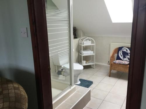 a bathroom with a toilet and a glass shower door at Woodcockfaulds House in Stirling