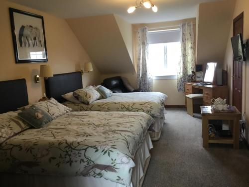 a bedroom with two beds and a window at Woodcockfaulds House in Stirling