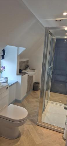 a bathroom with a shower and a toilet and a sink at Wayside Cottage Gairloch Room Accommodation in Gairloch