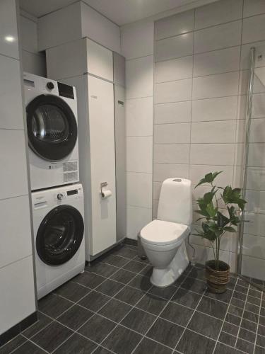 a bathroom with a toilet and a washing machine at Hardanger Granvin Living in Granvin