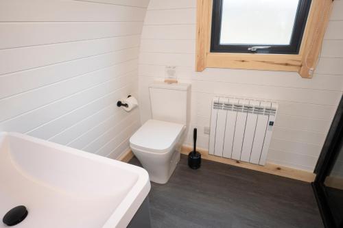a white bathroom with a toilet and a window at Appin's Coorie Nook in Appin