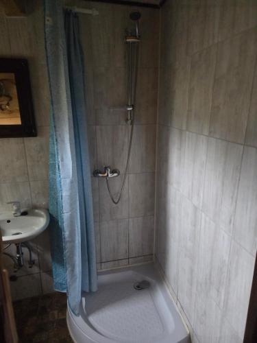 a bathroom with a shower with a toilet and a sink at Chata Między Górami in Zalesie