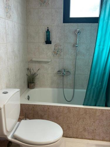 a bathroom with a shower and a toilet and a tub at Aethalios katoikia in Korissia
