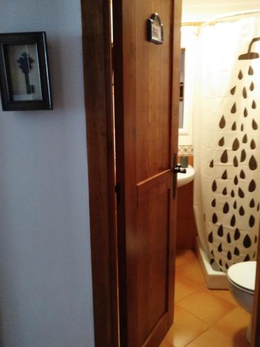 a bathroom with a toilet and a wooden door at Residencial Valle de Benasque in Benasque