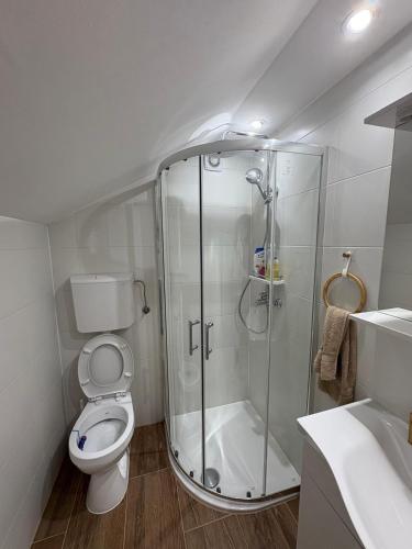 a bathroom with a shower and a toilet and a sink at Kuća za odmor Mia in Gornja Gračenica