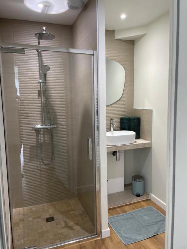 a bathroom with a shower and a sink at Au petit lavoir in Trévières