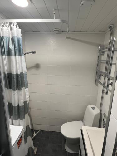a small bathroom with a toilet and a sink at Top location in Joensuu in Joensuu