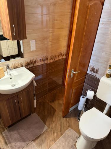 a bathroom with a toilet and a sink and a shower at Zso-Zé Apartman in Tiszafüred
