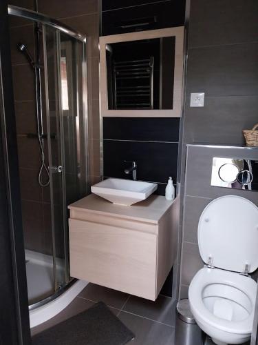 a bathroom with a toilet and a sink and a shower at le prieuré reposant in Limetz