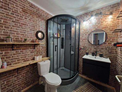 a bathroom with a shower and a toilet and a sink at Cosy atelier in Vierzon