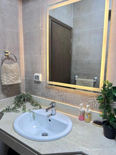 a bathroom with a sink and a mirror at Modern apartment Madinaty in New cairo