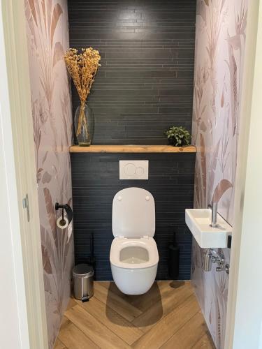 a small bathroom with a toilet and a sink at Vakantiewoning Op de Woerd in Aalten