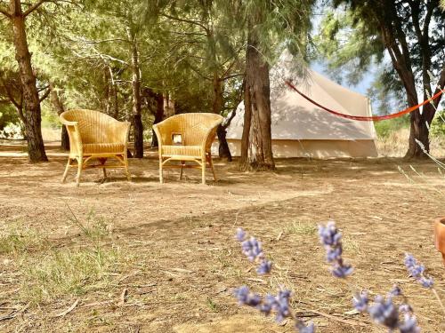 two wicker chairs sitting in a yard with a tent at Glamping with Yoga and Natural Pool near Fuseta Beach in Moncarapacho