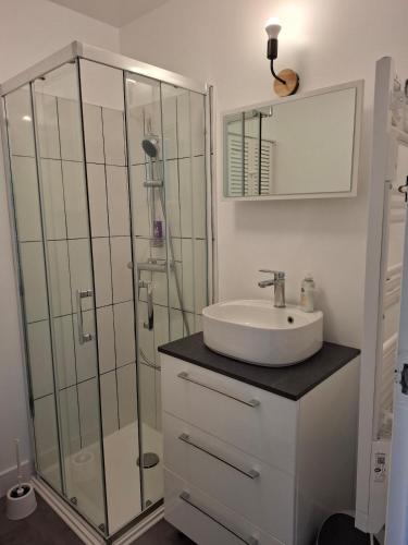 a bathroom with a sink and a glass shower at Escale cosy à Blois in Blois