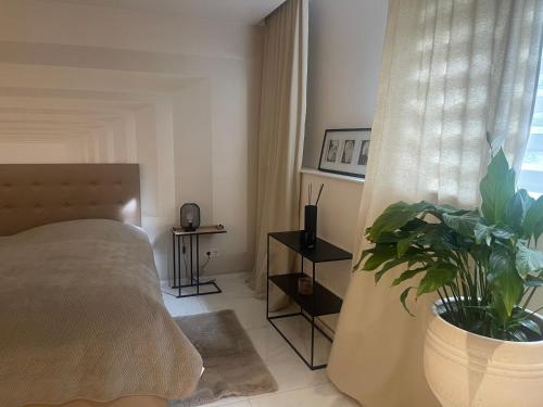 a bedroom with a bed and a potted plant at Moderne, ruhige Ferienwohnung , ideal zum Abschalten in Hadamar