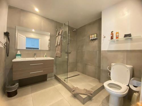 a bathroom with a shower and a toilet and a sink at Oceanview large studio, pool, walk to Mullet Bay, Cupecoy Beach, walk to dining, free parking in Cupecoy