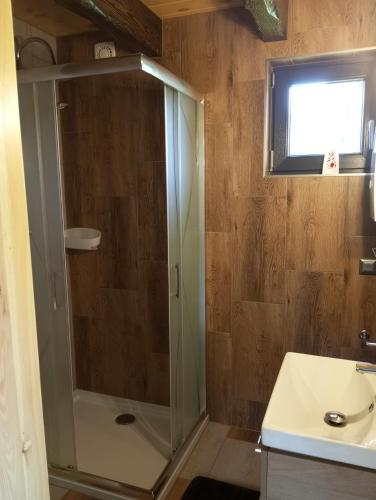 a bathroom with a shower and a sink at Olchowym Domek in Gostynin