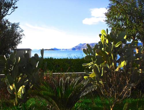 Beach House Cavtat