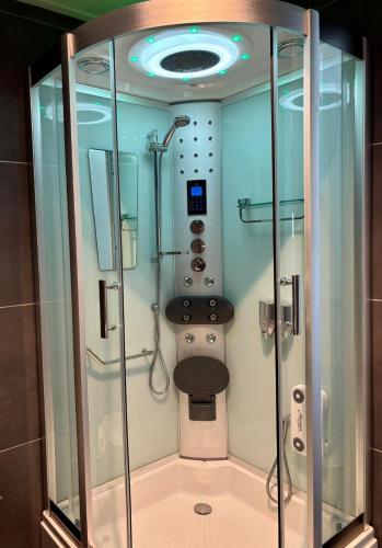 a bathroom with a shower with a toilet in it at Waegen Uus in Wolphaartsdijk