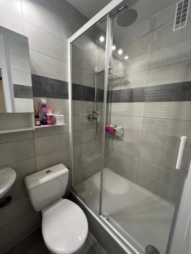 a bathroom with a toilet and a glass shower at Le Cocon d'Aurouze in Le Dévoluy