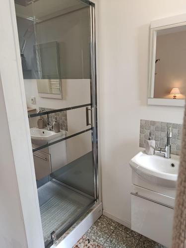 a bathroom with a shower and a sink at Petite maison dans le Morvan in Luzy
