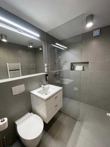 a bathroom with a toilet and a sink and a shower at Słoneczna DWÓJKA Resort SPA in Gródek Nad Dunajcem