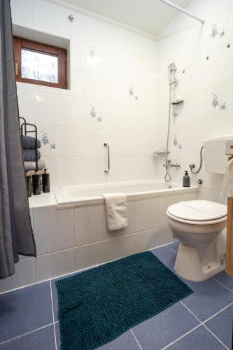 a bathroom with a toilet and a tub and a sink at Vacation house Terra in Petrovina