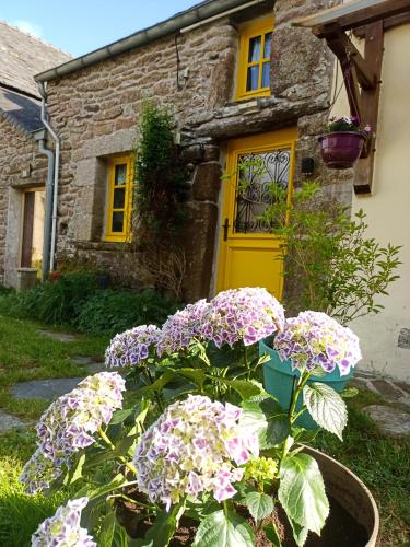 a bunch of purple flowers in front of a yellow door at "La Maison de Poupée" Gîte cosy Monts d'Arrée proche Huelgoat Bretagne in Berrien