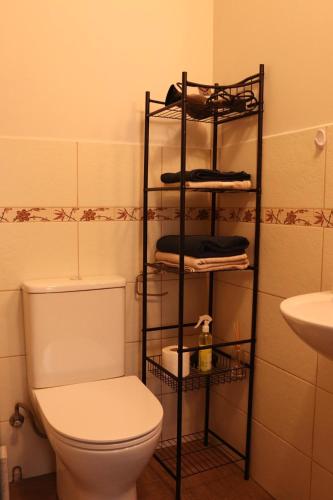 a bathroom with a toilet and a shelf with towels at Cozy Alauksta apartment in Riga